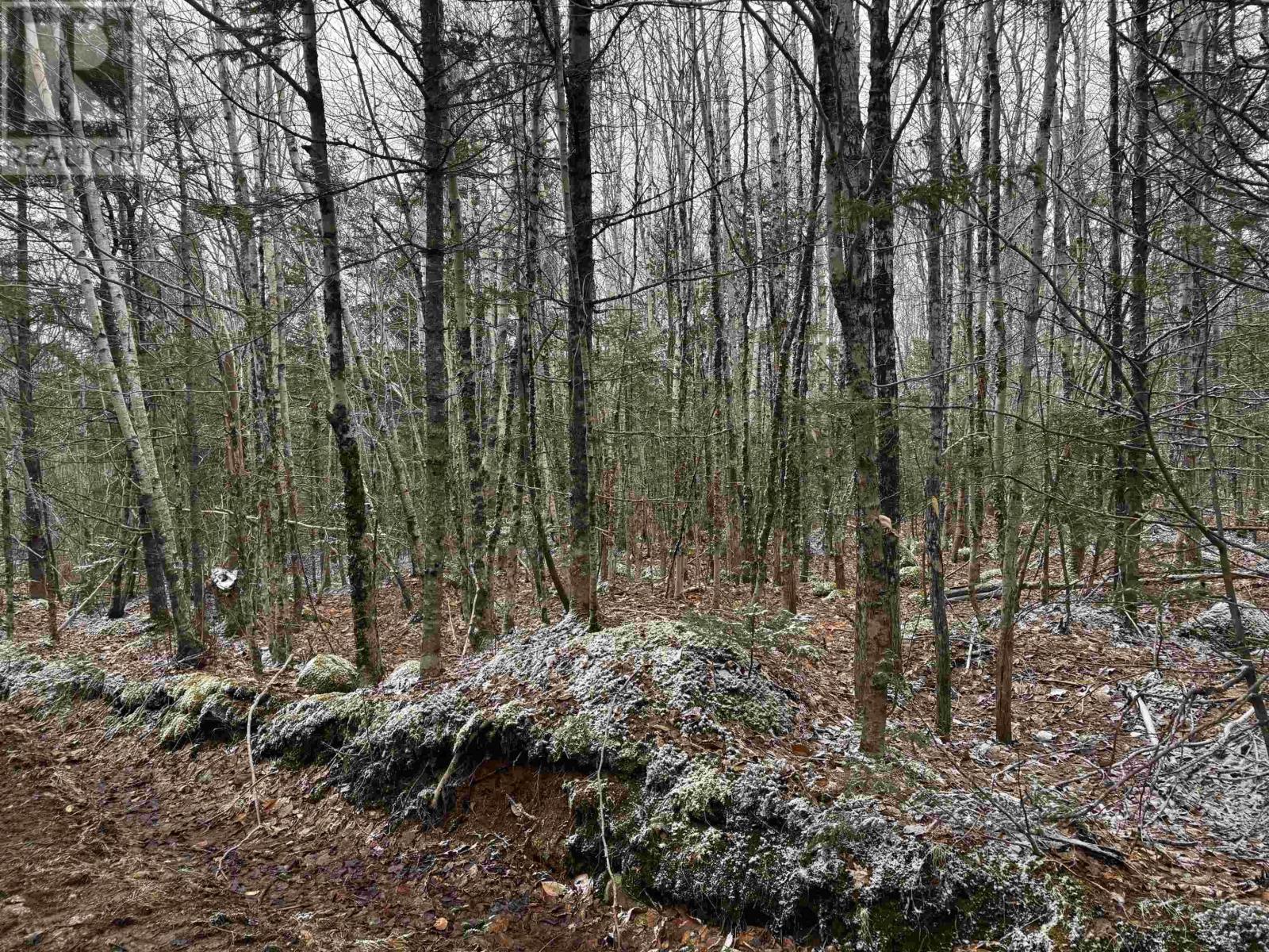 Lot (Pid 05046693) Victory Road, Victory, Nova Scotia  B0S 1A0 - Photo 12 - 202515937