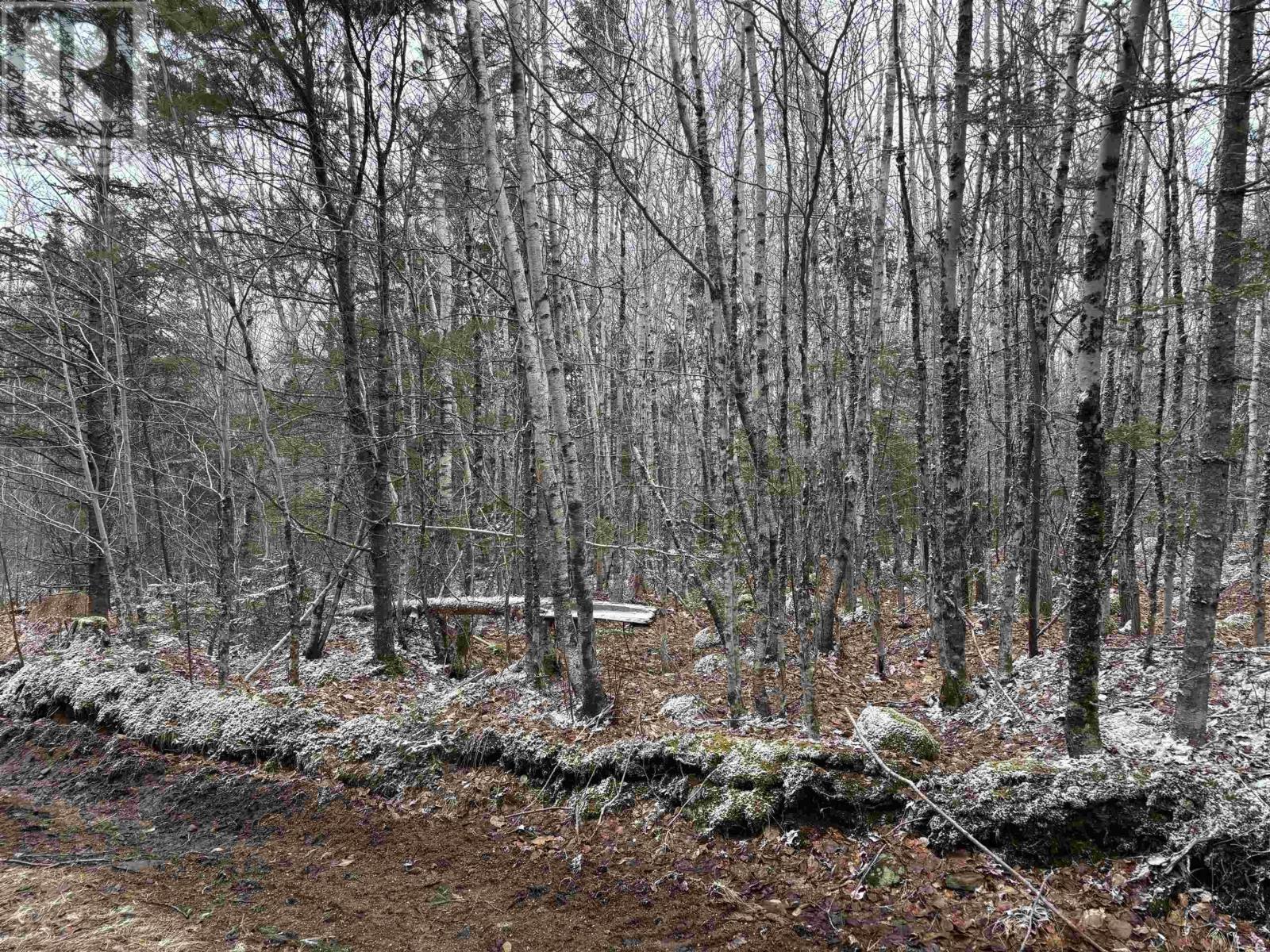 Lot (Pid 05046693) Victory Road, Victory, Nova Scotia  B0S 1A0 - Photo 17 - 202515937