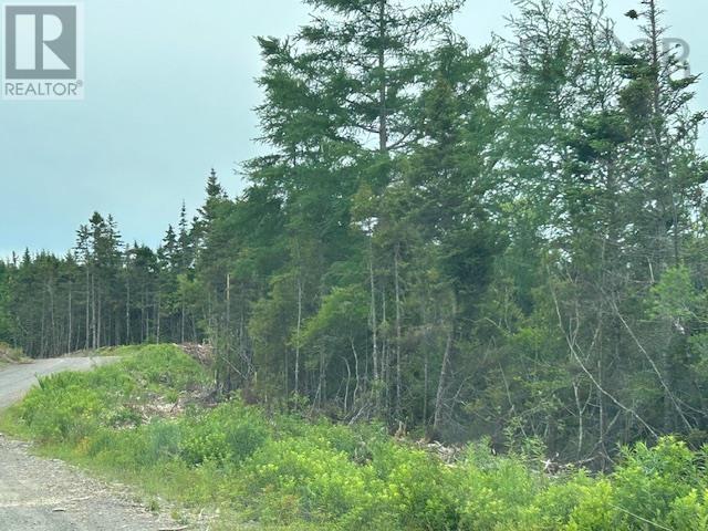 Salmon River Road, west l'ardoise, Nova Scotia