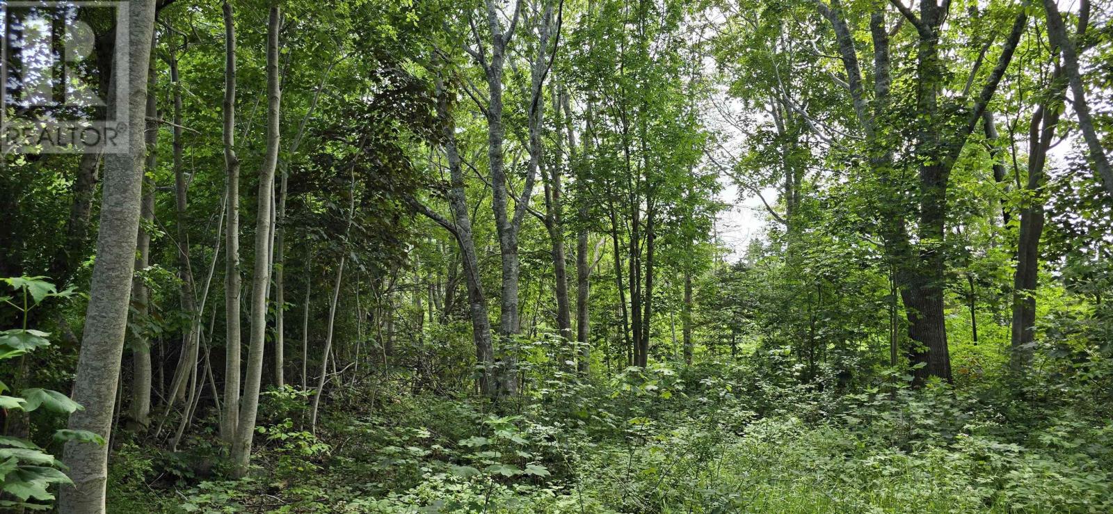 58 Long Cove Road, Port Medway, Nova Scotia  B0J 2T0 - Photo 7 - 202515971