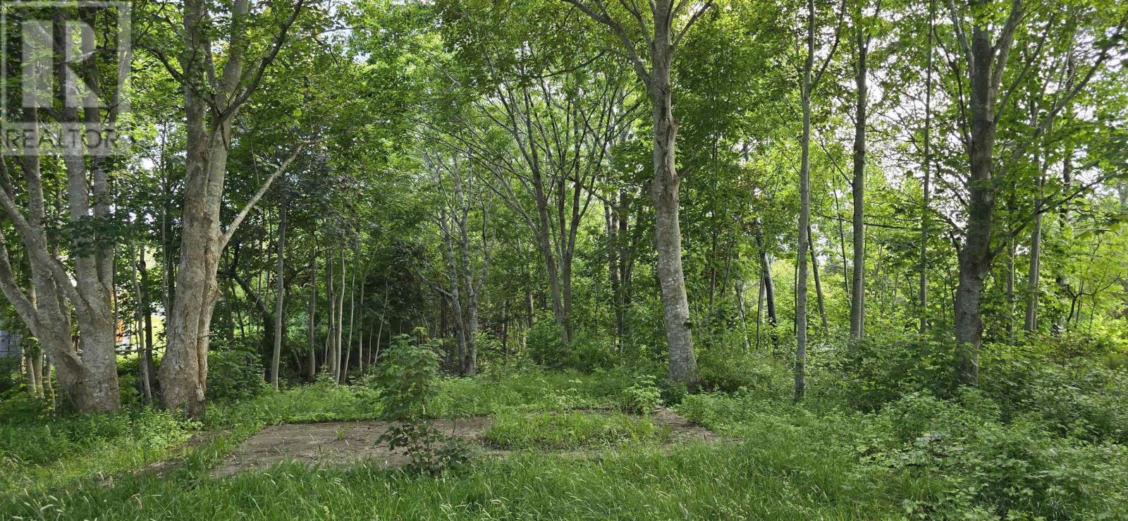 58 Long Cove Road, Port Medway, Nova Scotia  B0J 2T0 - Photo 9 - 202515971