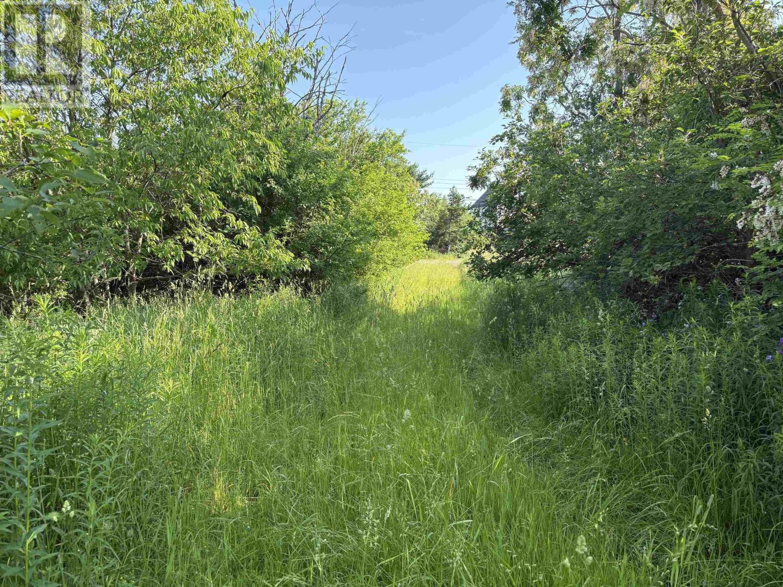 2427 South Main Street, Westville, Nova Scotia  B0K 2A0 - Photo 3 - 202515995