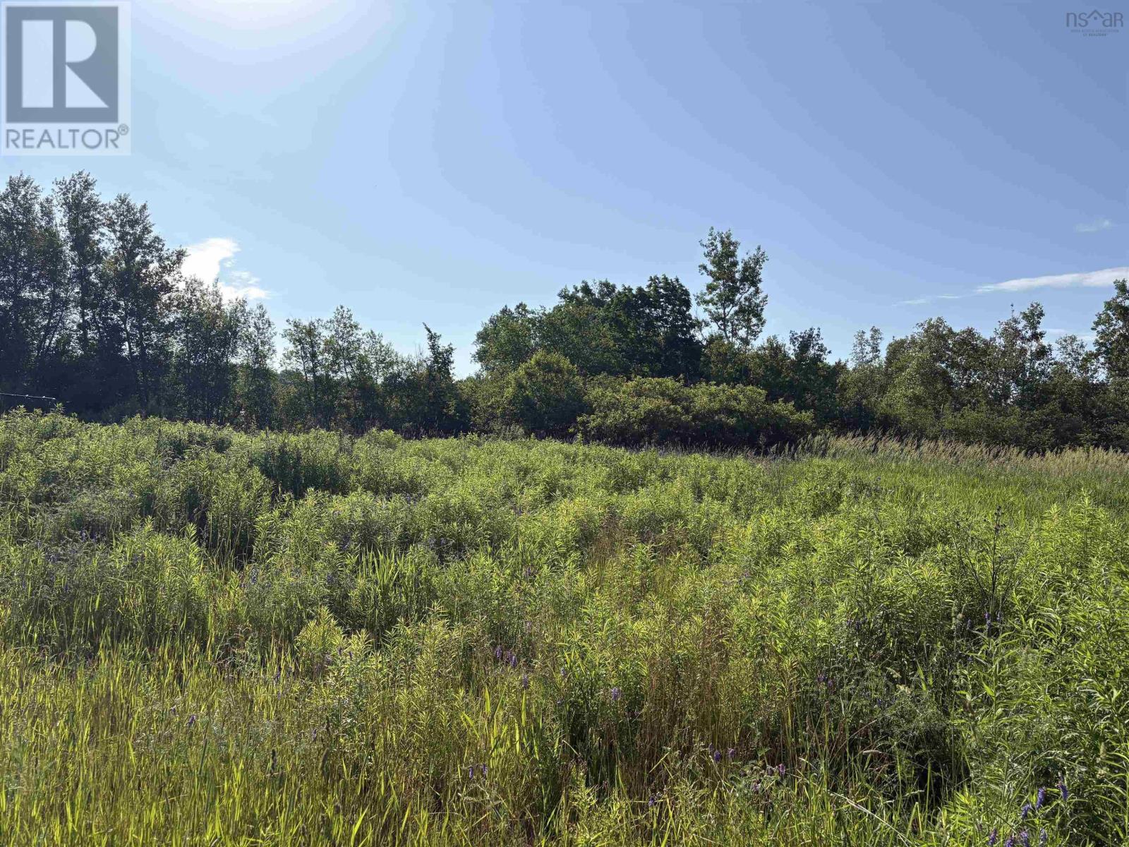 2427 South Main Street, Westville, Nova Scotia  B0K 2A0 - Photo 4 - 202515995