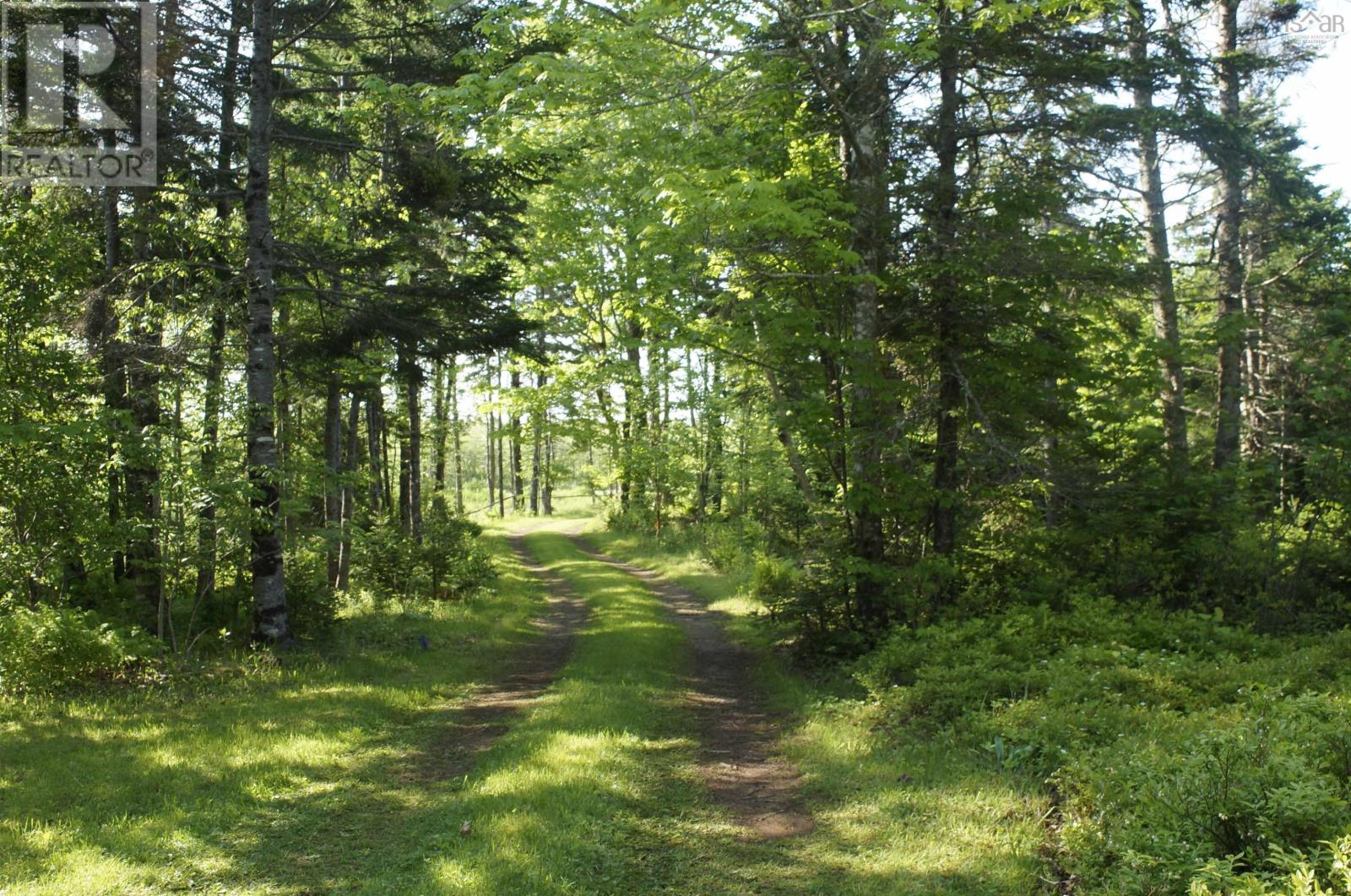 4031 Loch Lomond Road, Loch Lomond, Nova Scotia  B0A 1H0 - Photo 2 - 202516062