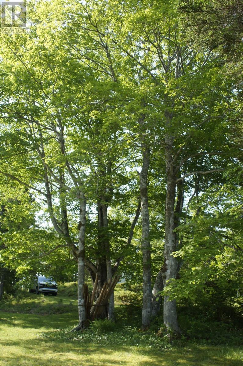 4031 Loch Lomond Road, Loch Lomond, Nova Scotia  B0A 1H0 - Photo 40 - 202516062