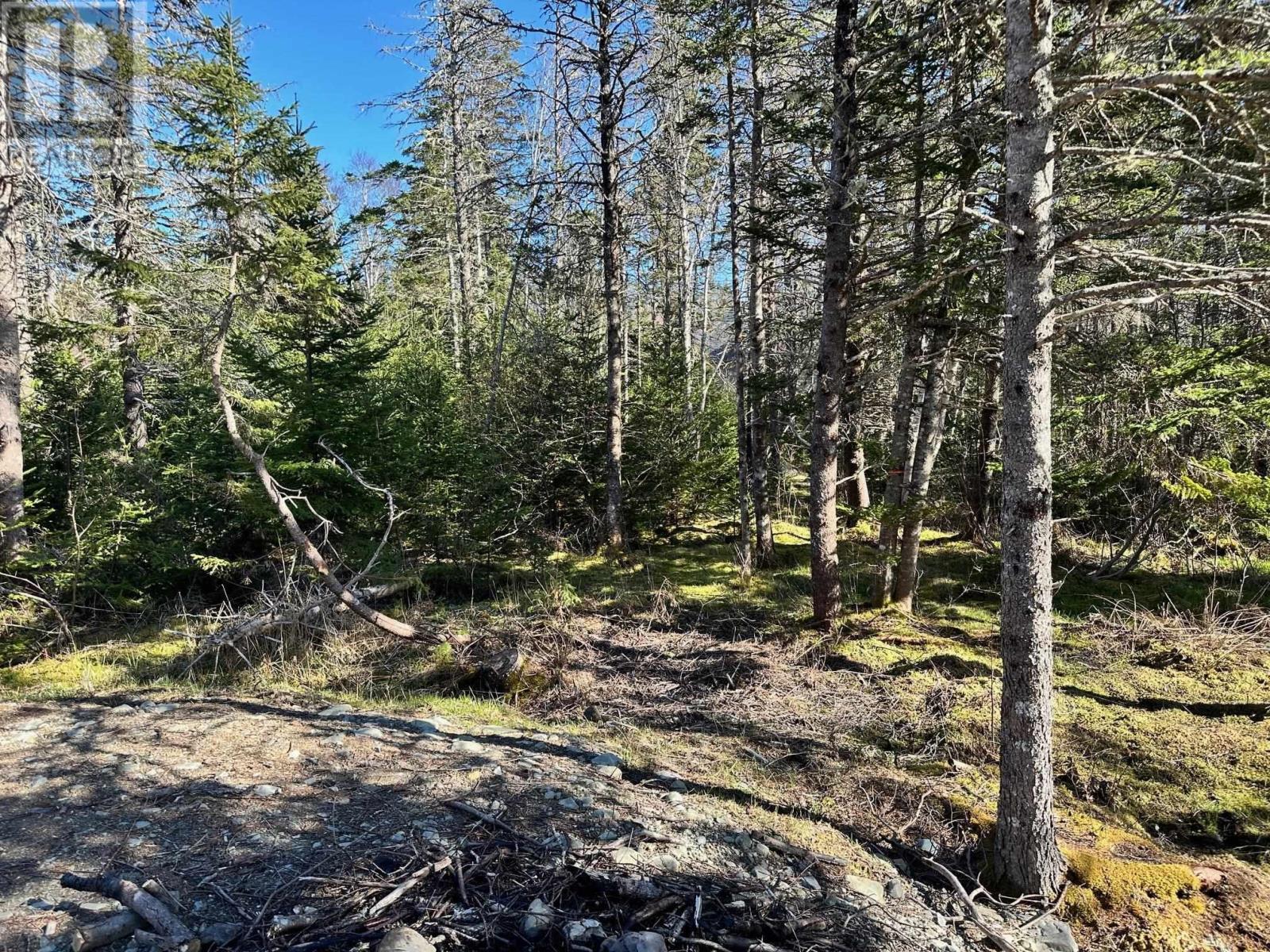 Lot Pid# 70095278/70277058 Eastern Shore Road, West Berlin, Nova Scotia  B0J 1H0 - Photo 5 - 202516092