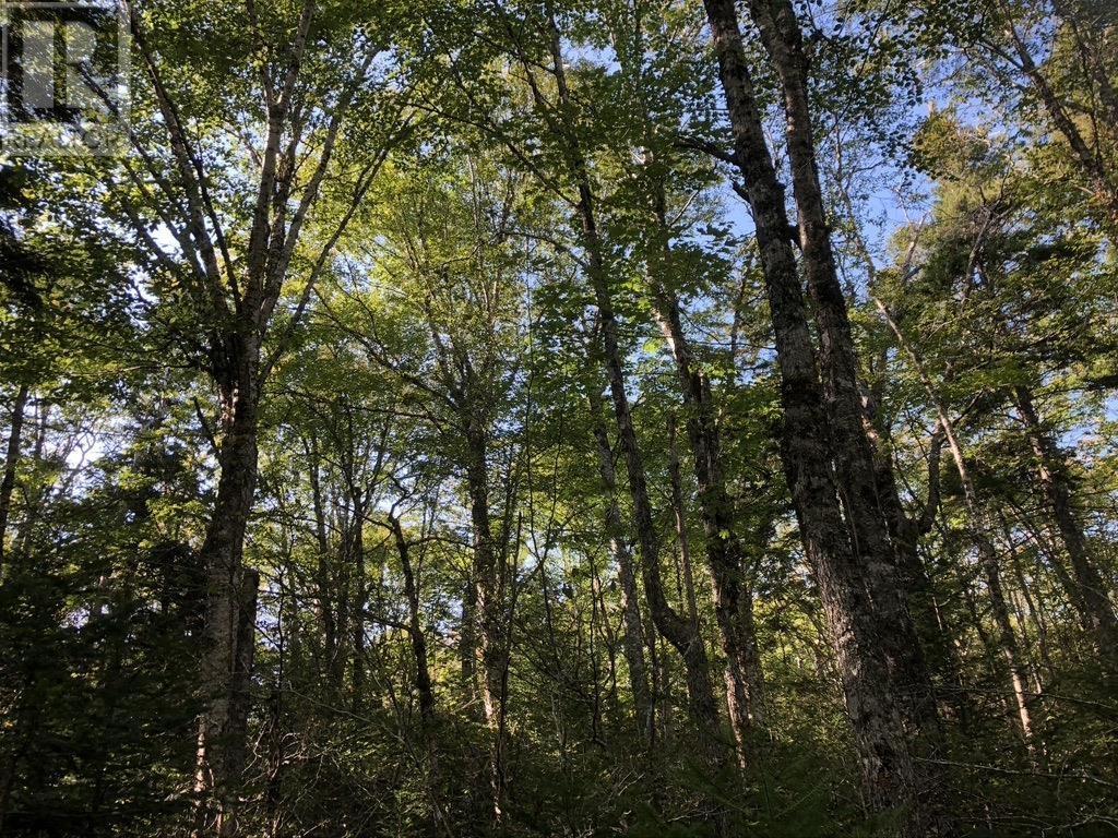 Acreage No 101 Highway, Ardoise, Nova Scotia  B0N 1L0 - Photo 16 - 202516163