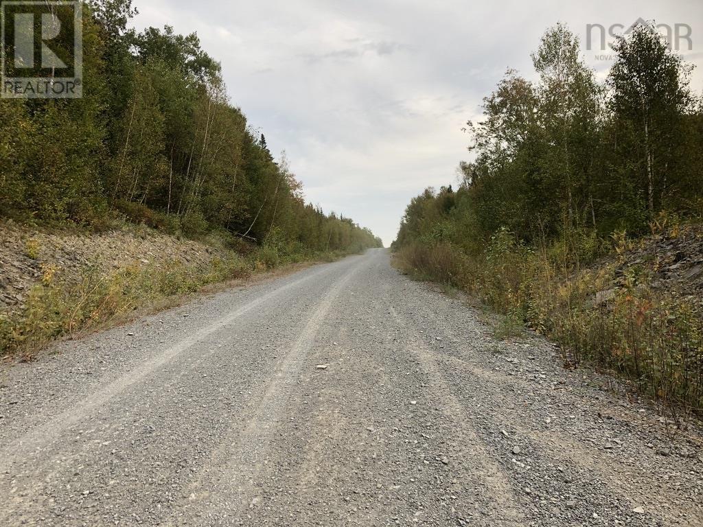 Acreage No 101 Highway, Ardoise, Nova Scotia  B0N 1L0 - Photo 24 - 202516163