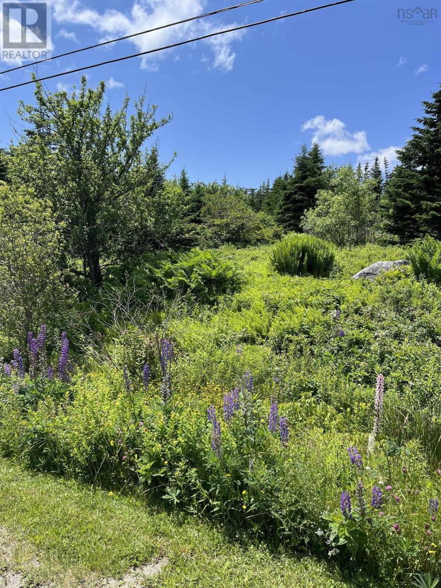 2584 West Ship Harbour Road, Owls Head Harbour, Nova Scotia  B3J 3A5 - Photo 4 - 202516217