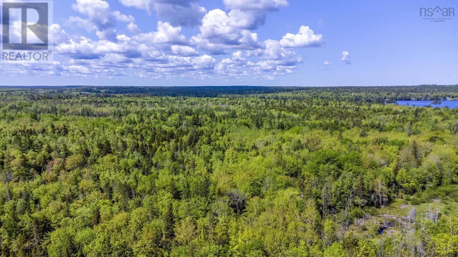 10 Highway, New Albany, Nova Scotia  B0S 1P0 - Photo 15 - 202514419