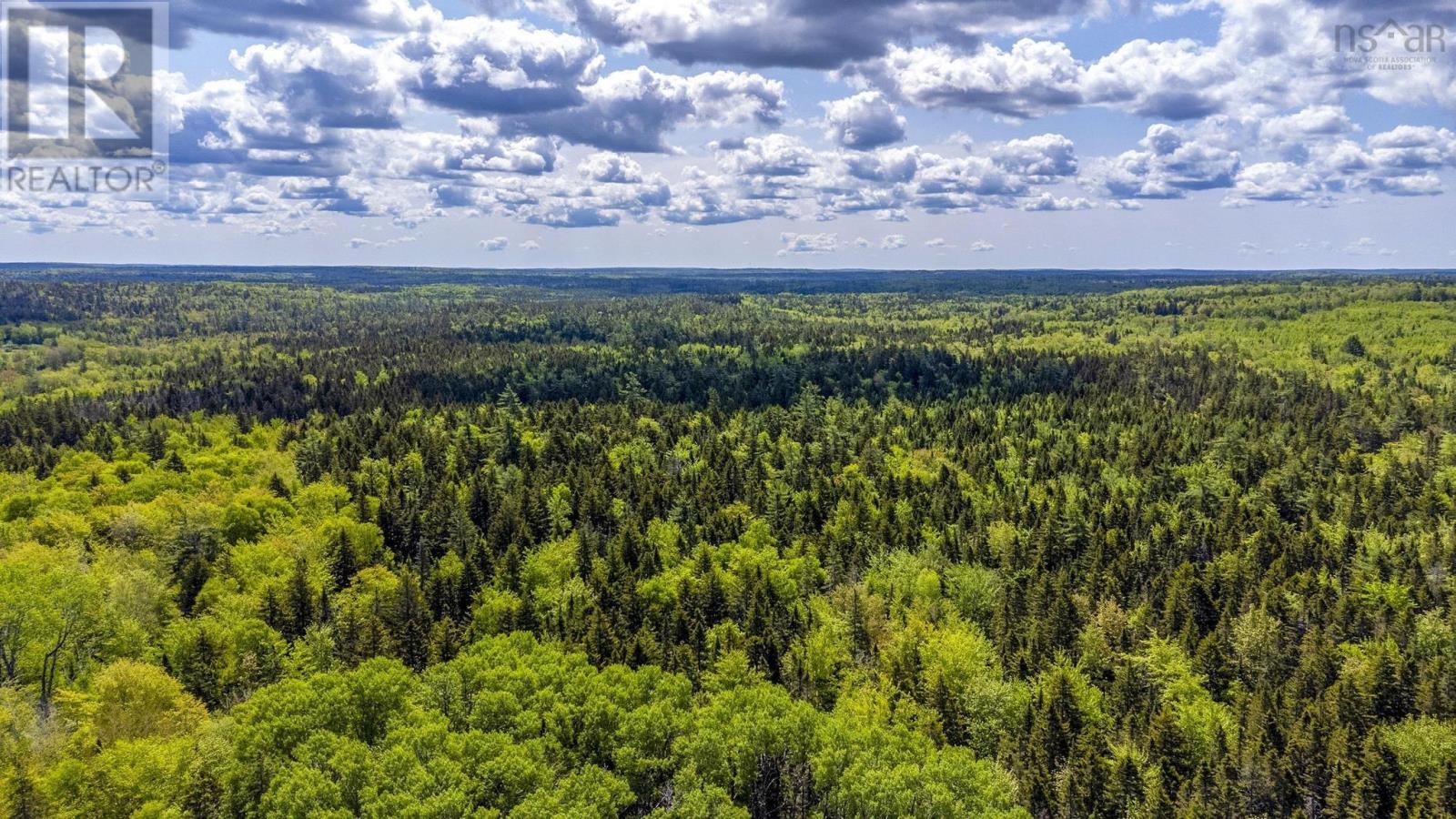 10 Highway, New Albany, Nova Scotia  B0S 1P0 - Photo 18 - 202514419