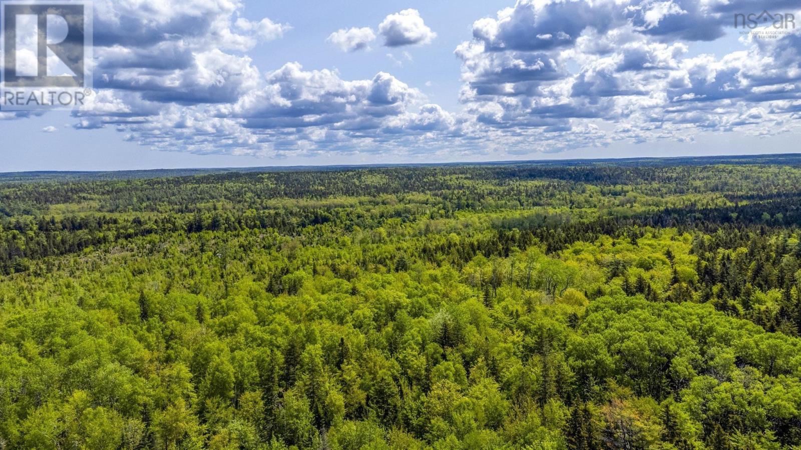 10 Highway, New Albany, Nova Scotia  B0S 1P0 - Photo 20 - 202514419