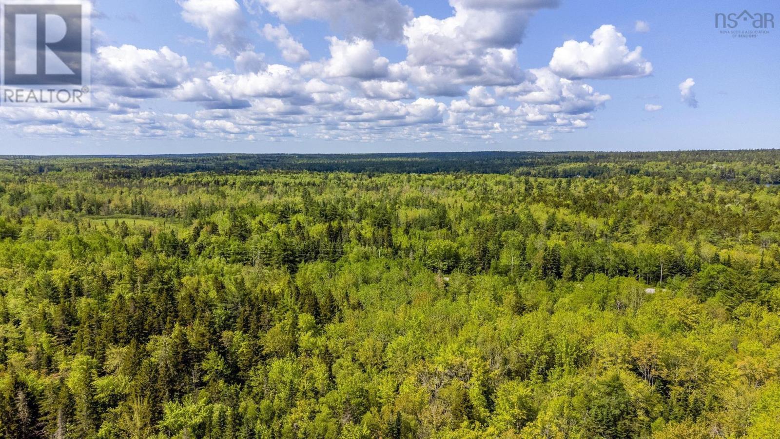 10 Highway, New Albany, Nova Scotia  B0S 1P0 - Photo 25 - 202514419