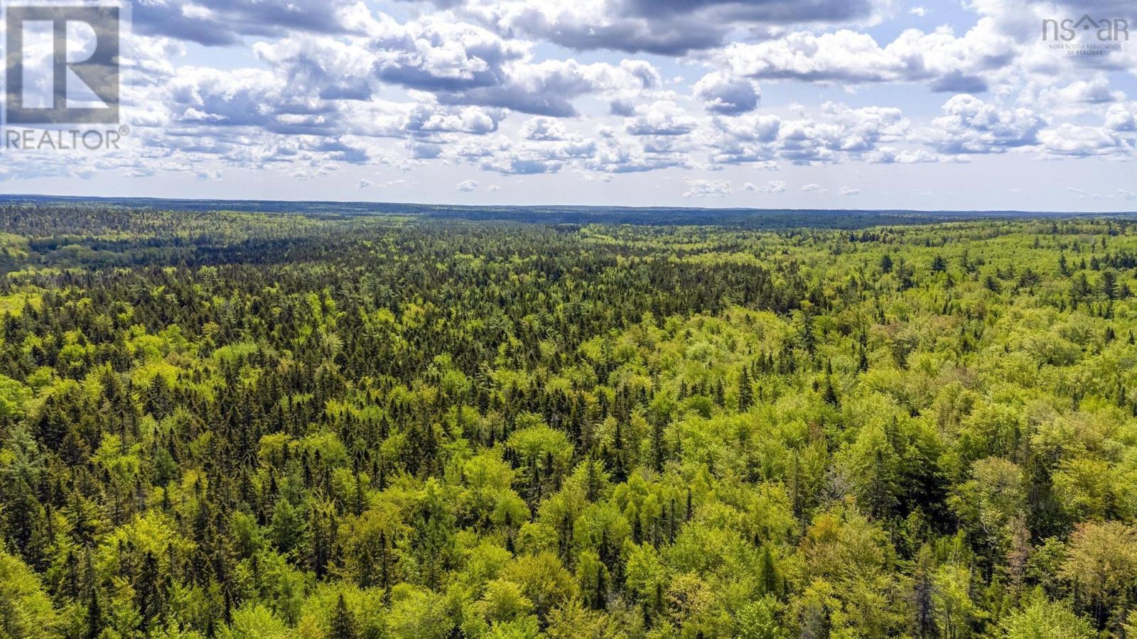 10 Highway, New Albany, Nova Scotia  B0S 1P0 - Photo 27 - 202514419