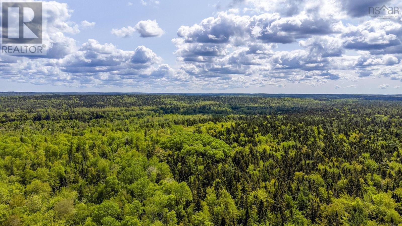 10 Highway, New Albany, Nova Scotia  B0S 1P0 - Photo 28 - 202514419