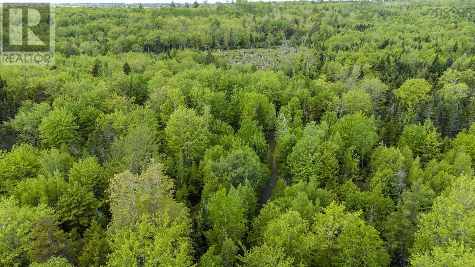 10 Highway, New Albany, Nova Scotia  B0S 1P0 - Photo 29 - 202514419