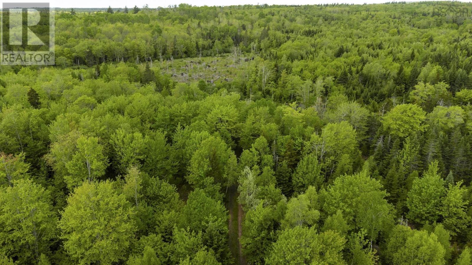 10 Highway, New Albany, Nova Scotia  B0S 1P0 - Photo 30 - 202514419