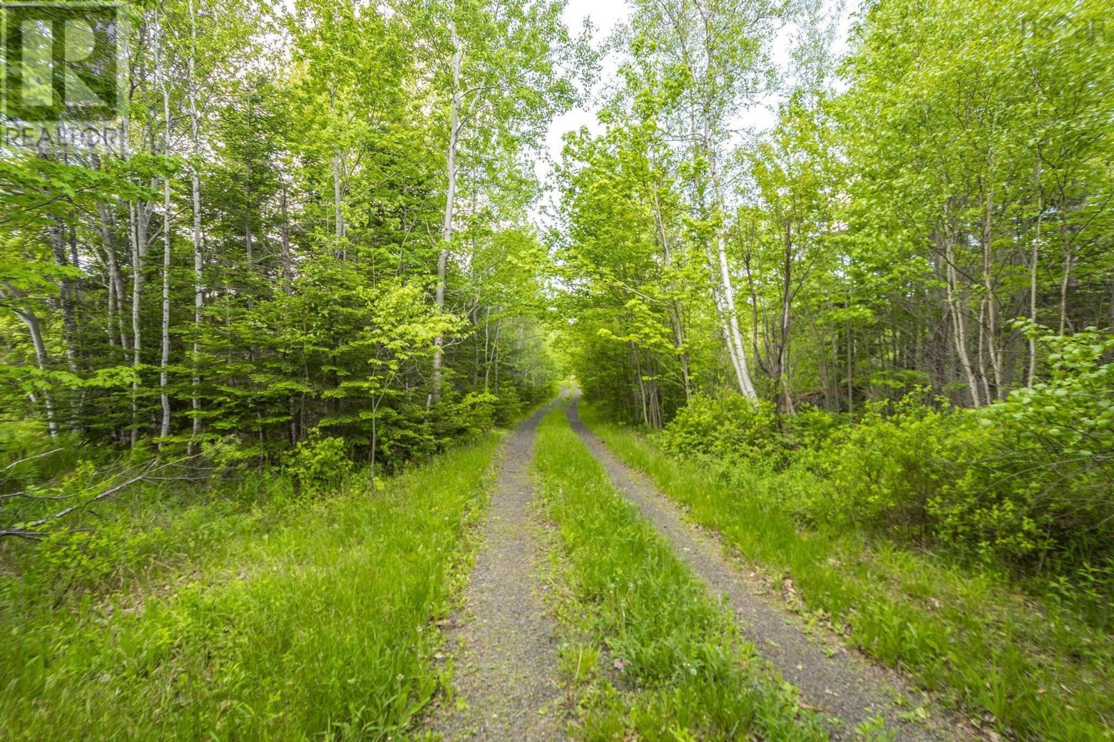 10 Highway, New Albany, Nova Scotia  B0S 1P0 - Photo 6 - 202514419