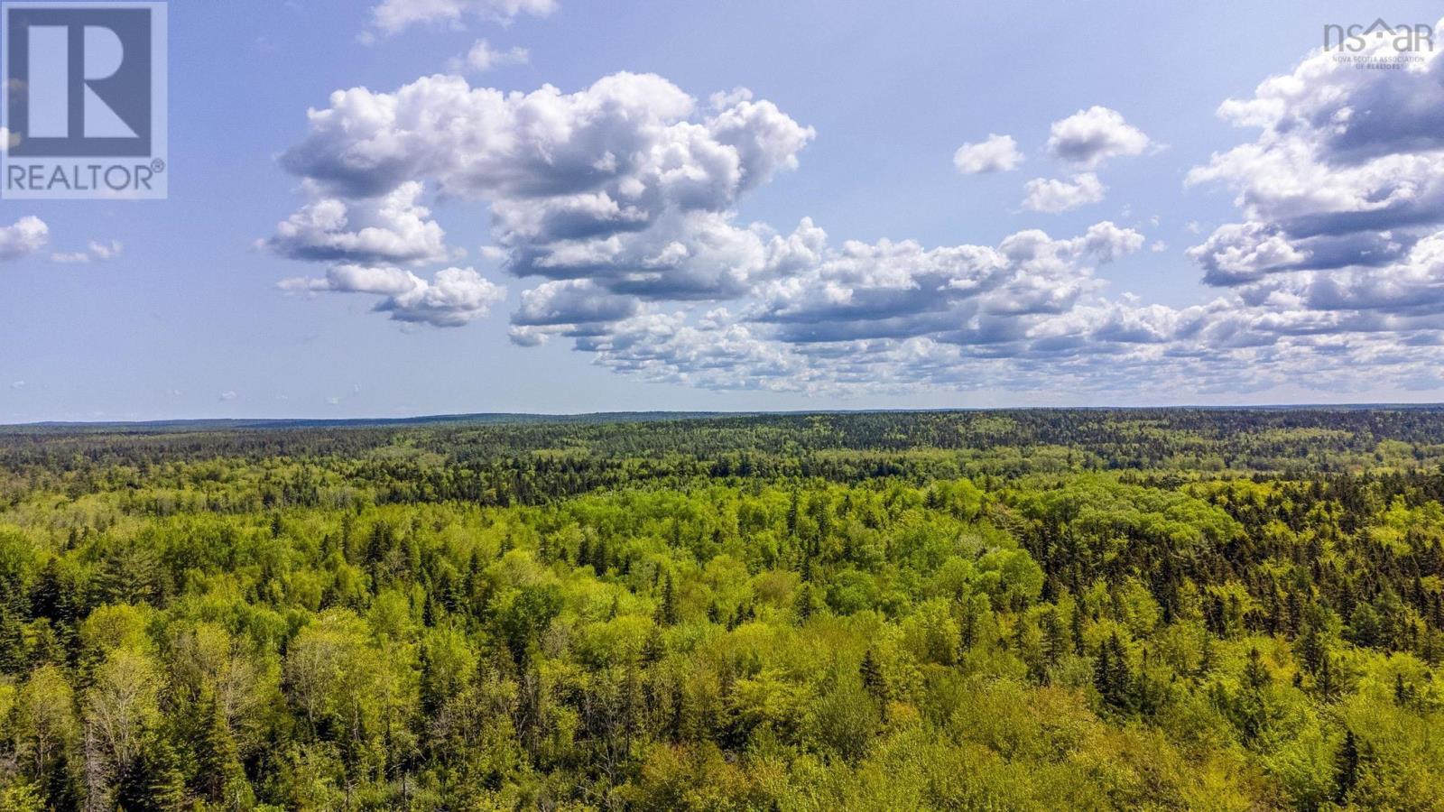 10 Highway, New Albany, Nova Scotia  B0S 1P0 - Photo 9 - 202514419