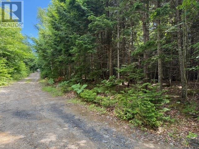 Lot 104 Arenburg Road, Buckfield, Nova Scotia  B4V 8M5 - Photo 14 - 202516418