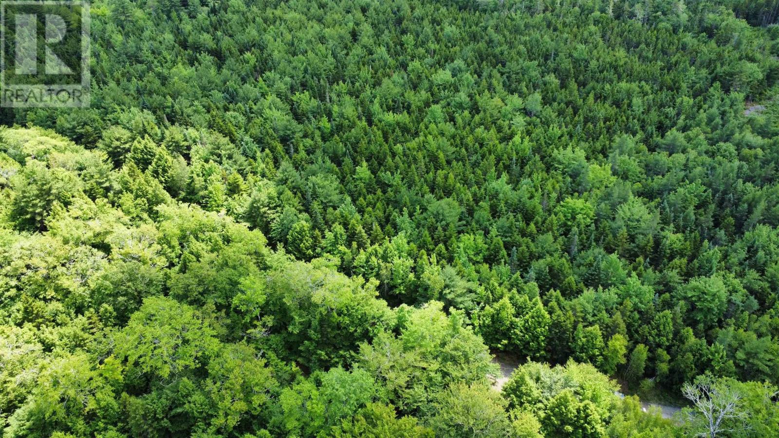 Lot 104 Arenburg Road, Buckfield, Nova Scotia  B4V 8M5 - Photo 18 - 202516418