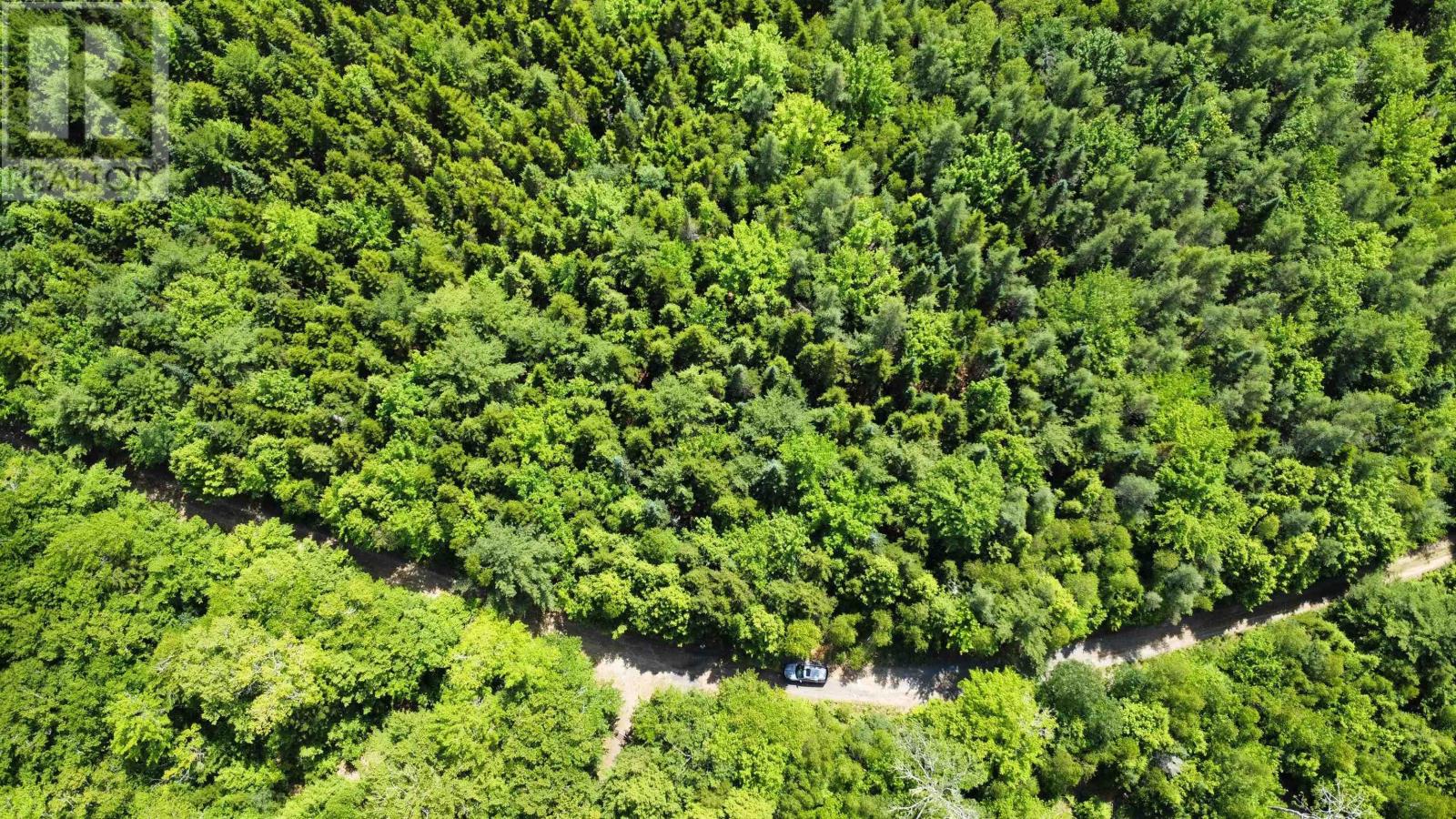 Lot 104 Arenburg Road, Buckfield, Nova Scotia  B4V 8M5 - Photo 27 - 202516418