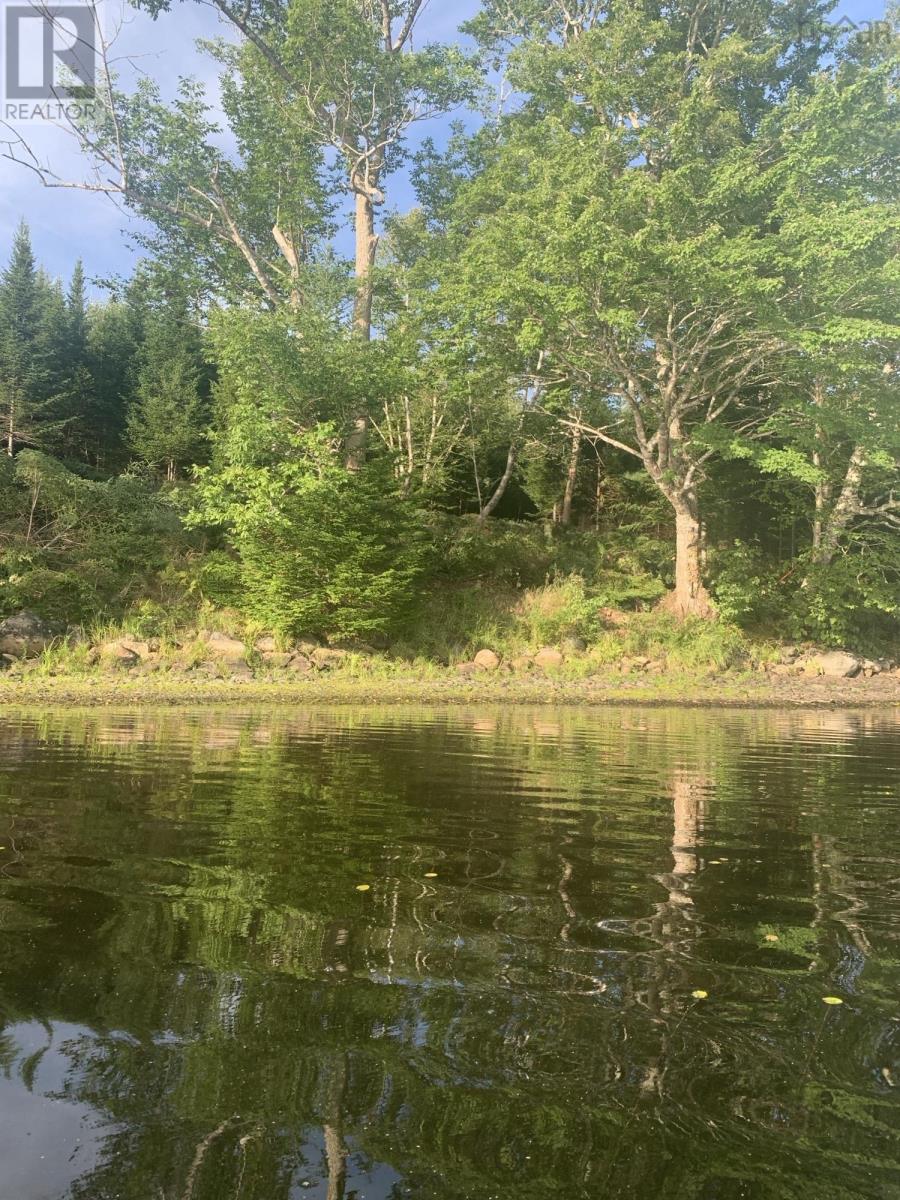 Lot 104 Arenburg Road, Buckfield, Nova Scotia  B4V 8M5 - Photo 4 - 202516418