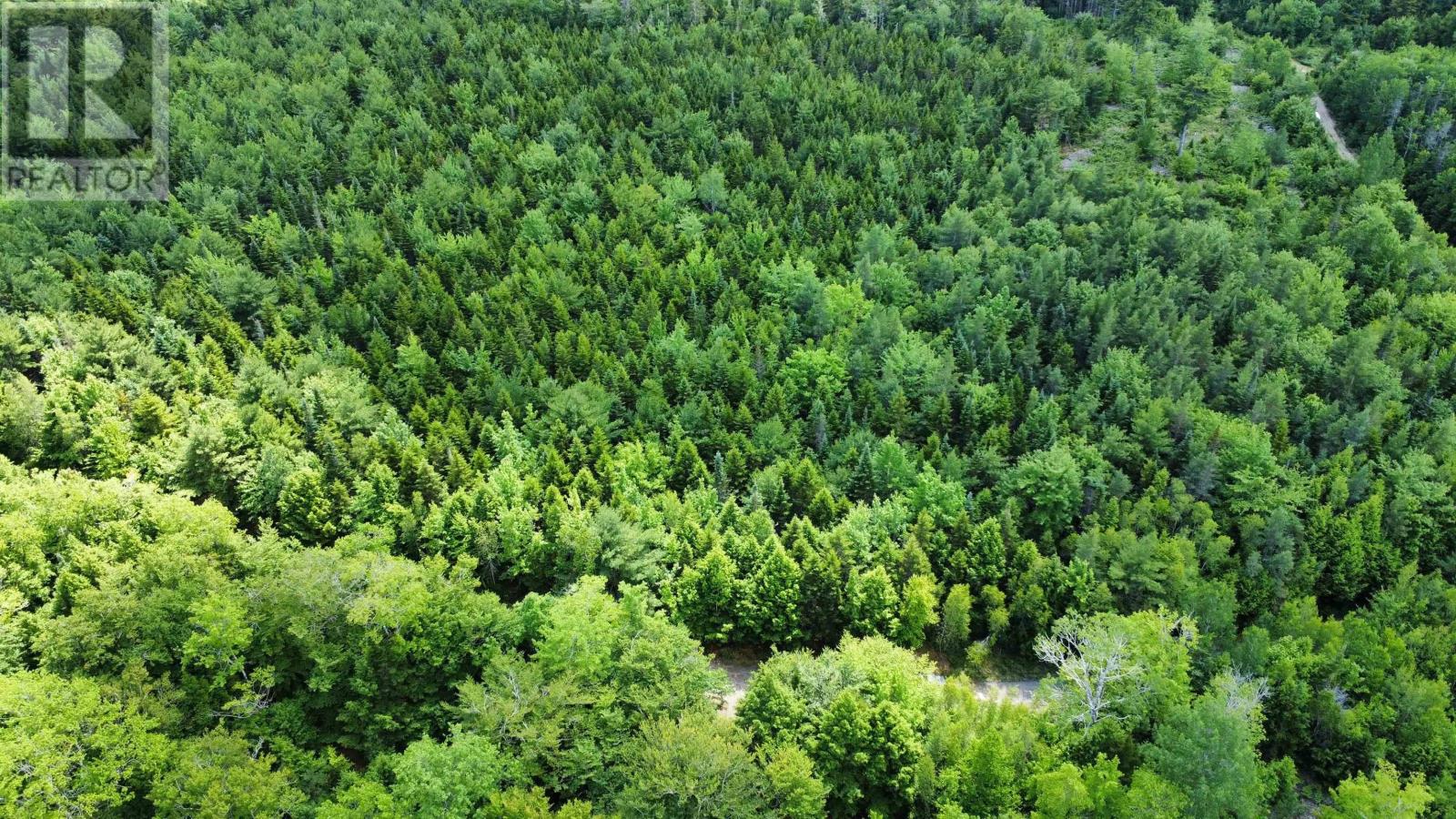 Lot 102 Arenburg Road, Buckfield, Nova Scotia  B4V 8M5 - Photo 14 - 202516421