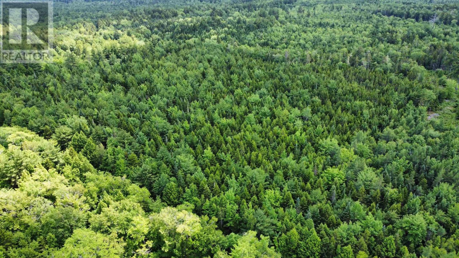 Lot 102 Arenburg Road, Buckfield, Nova Scotia  B4V 8M5 - Photo 17 - 202516421