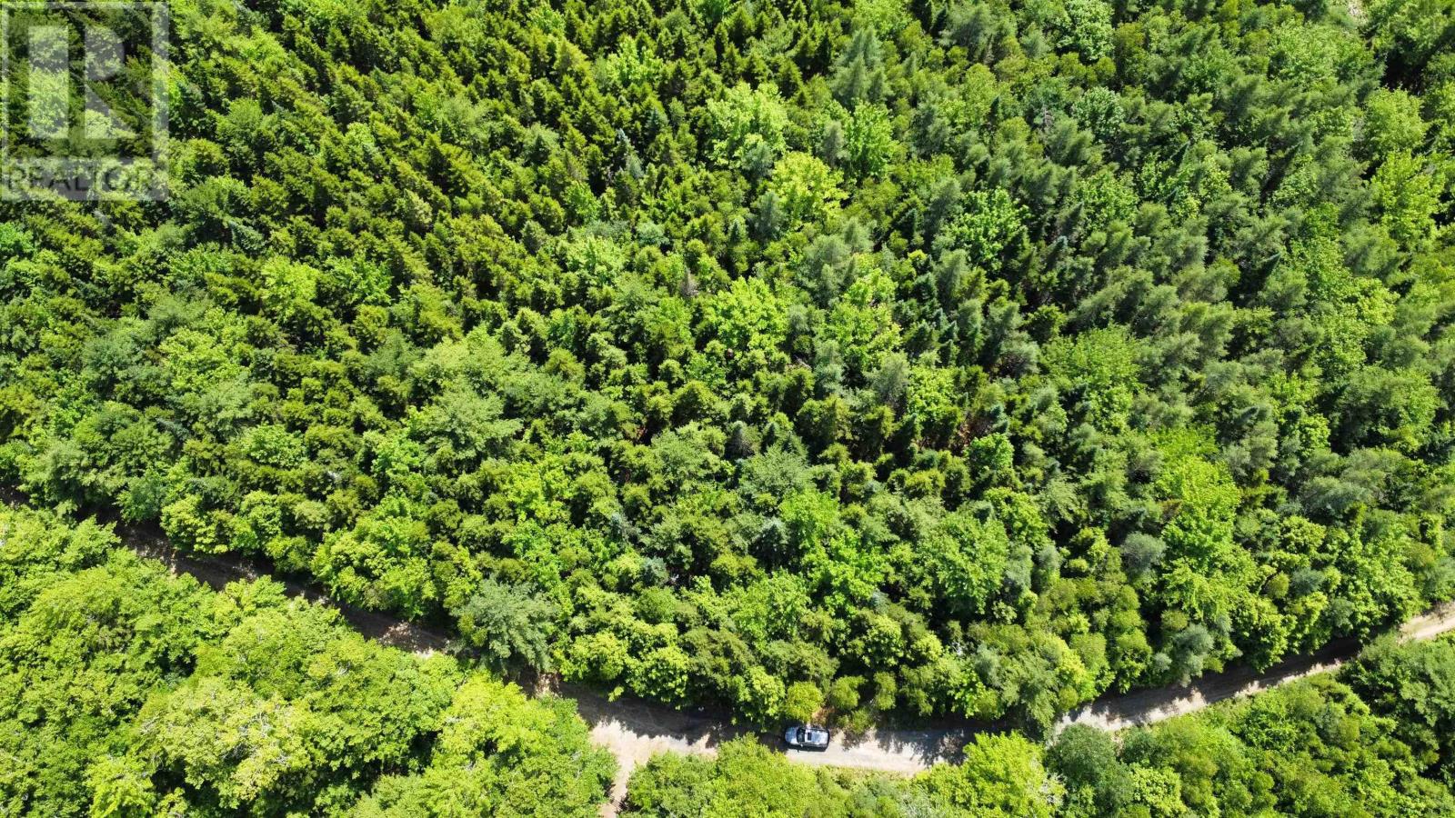 Lot 102 Arenburg Road, Buckfield, Nova Scotia  B4V 8M5 - Photo 25 - 202516421