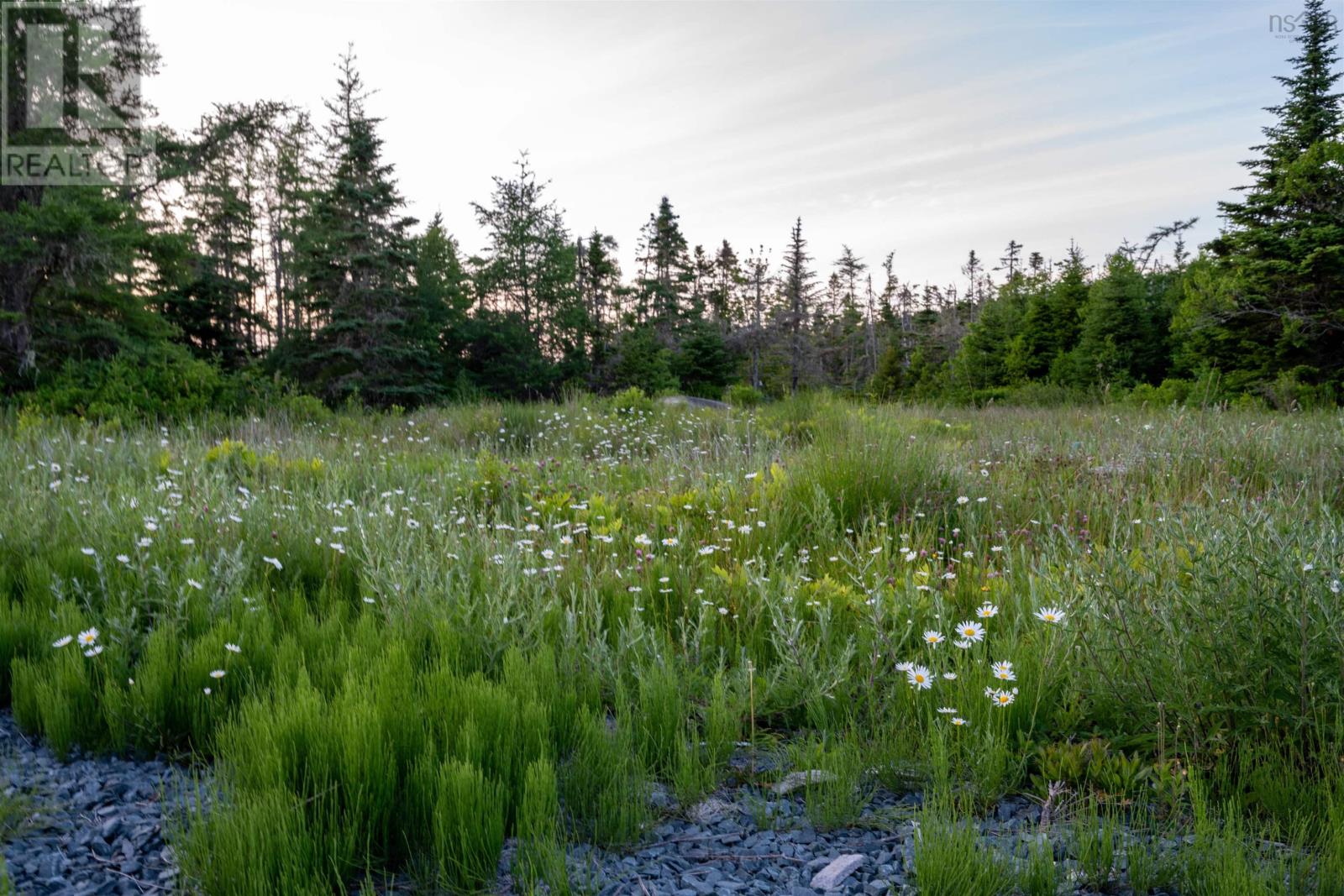 Lot B-4 Highway 7, Popes Harbour, Nova Scotia  B0J 3H0 - Photo 6 - 202516487