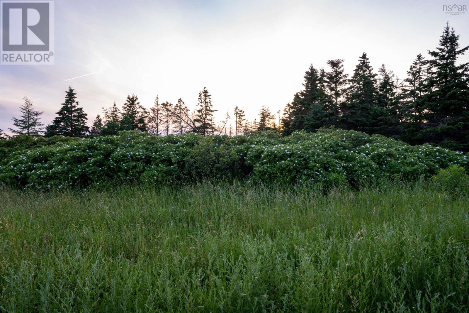 Lot B-4 Highway 7, Popes Harbour, Nova Scotia  B0J 3H0 - Photo 9 - 202516487