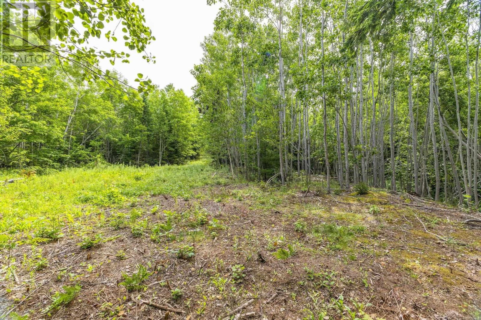 River Road, Plymouth, Nova Scotia  B2H 5C5 - Photo 4 - 202516690