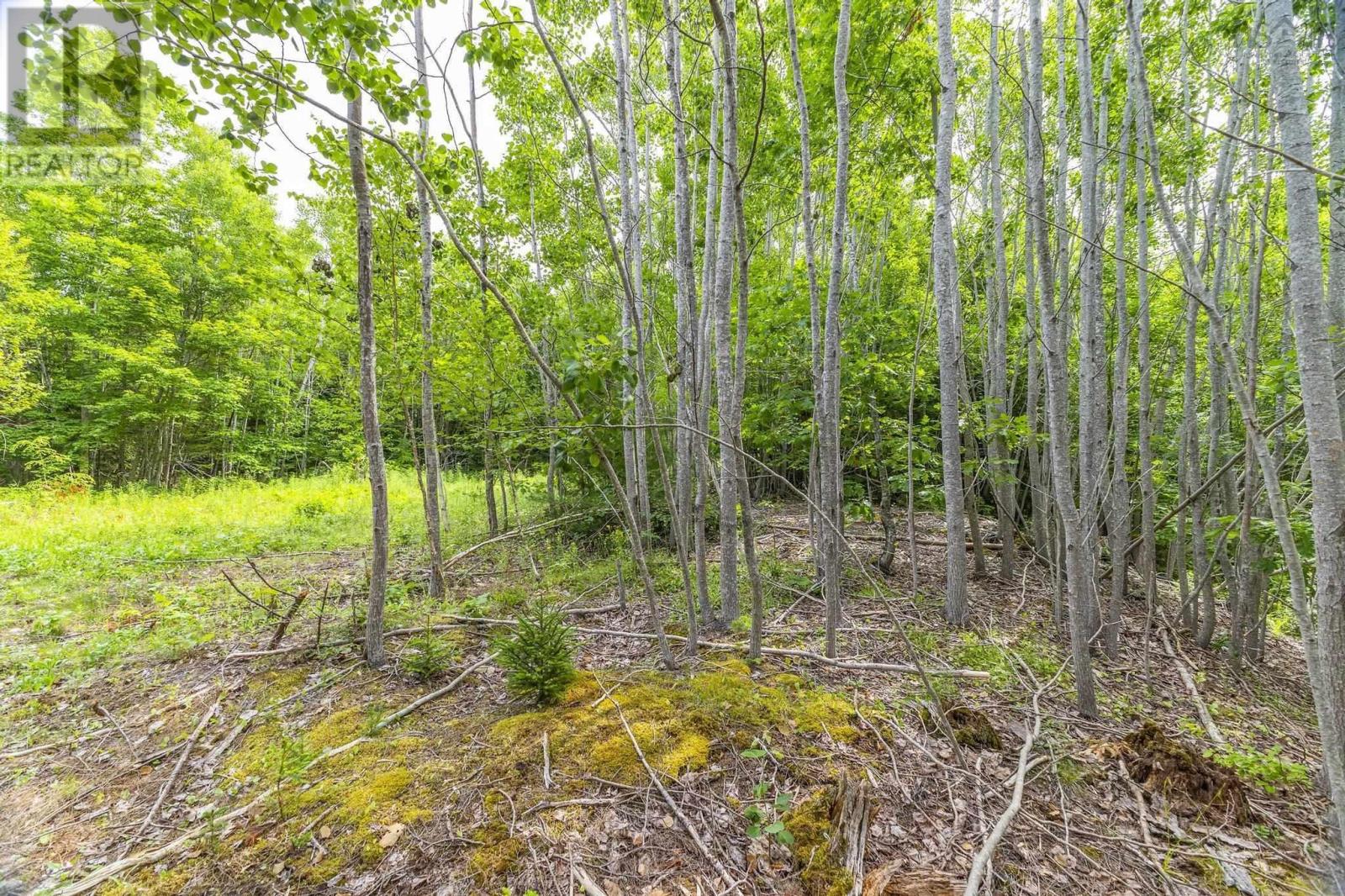 River Road, Plymouth, Nova Scotia  B2H 5C5 - Photo 5 - 202516690