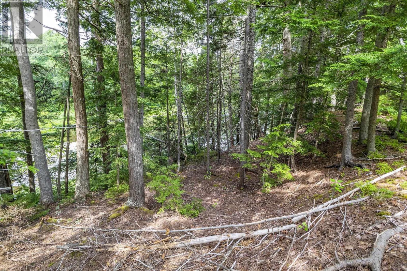 River Road, Plymouth, Nova Scotia  B2H 5C5 - Photo 6 - 202516690