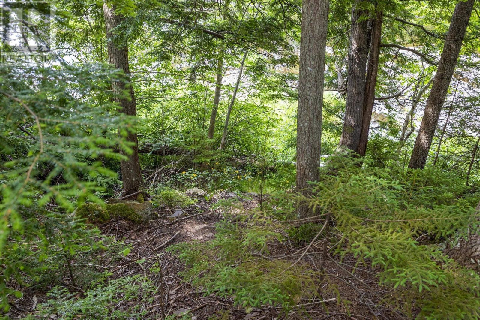 River Road, Plymouth, Nova Scotia  B2H 5C5 - Photo 7 - 202516690