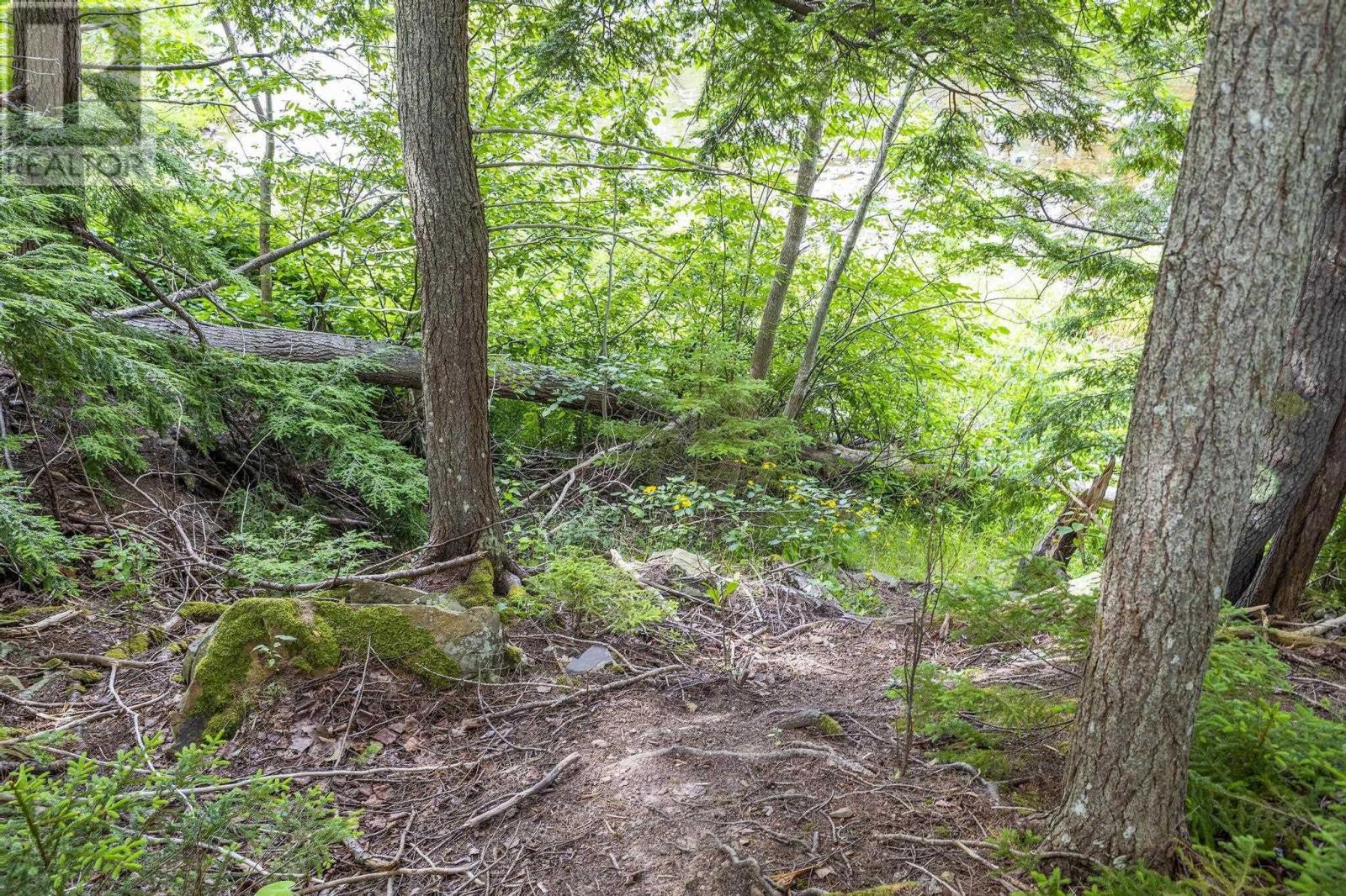 River Road, Plymouth, Nova Scotia  B2H 5C5 - Photo 8 - 202516690