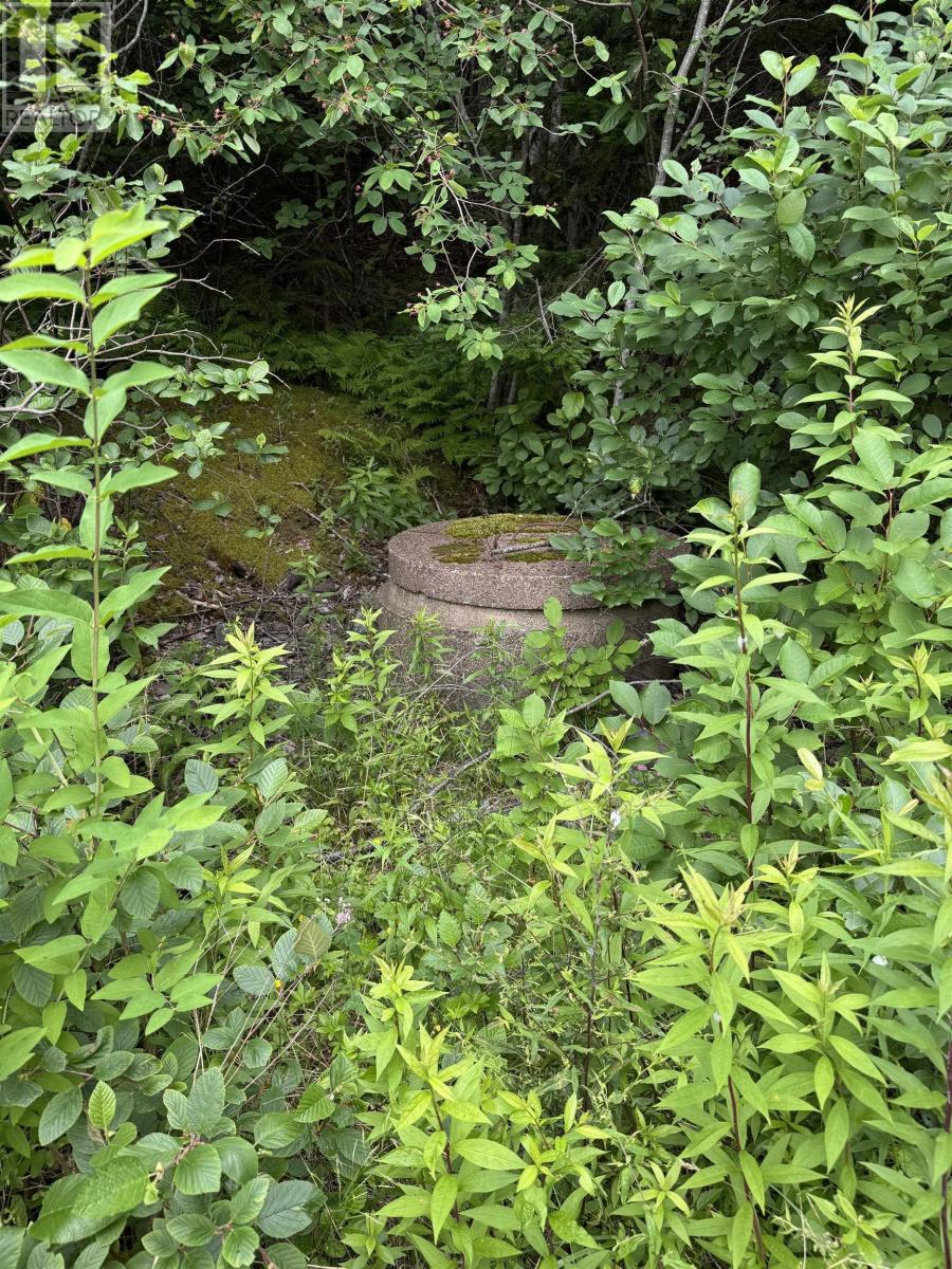 9273 Highway 16 Highway, Cooks Cove, Nova Scotia  B0H 1N0 - Photo 28 - 202516895