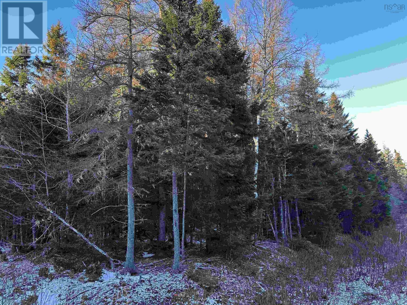 Marble Mountain Road, Allans Point Road, Valley Mills, Nova Scotia  B0E 2Y0 - Photo 16 - 202516983