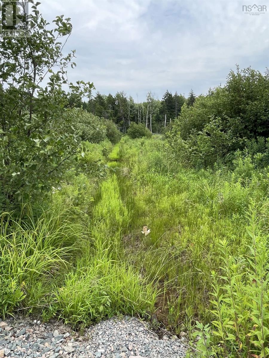 3316 Thomson Road, Hansford, Nova Scotia  B0M 1P0 - Photo 10 - 202516985