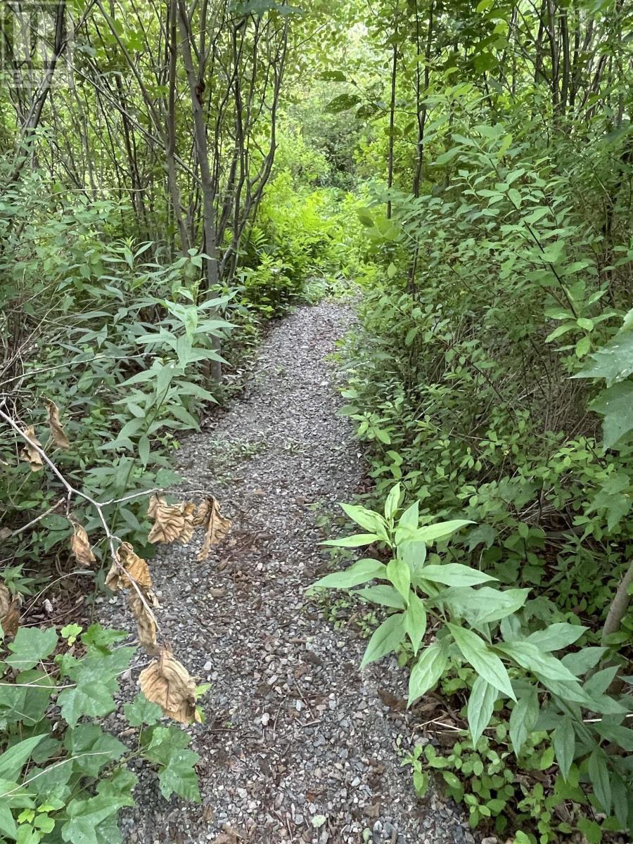 3316 Thomson Road, Hansford, Nova Scotia  B0M 1P0 - Photo 18 - 202516985