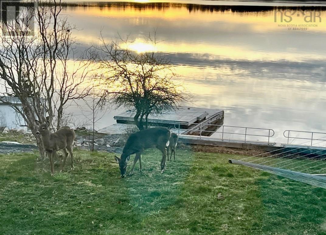 82 Masons Point Road, Head Of St. Margarets Bay, Nova Scotia  B3Z 2A8 - Photo 44 - 202517016