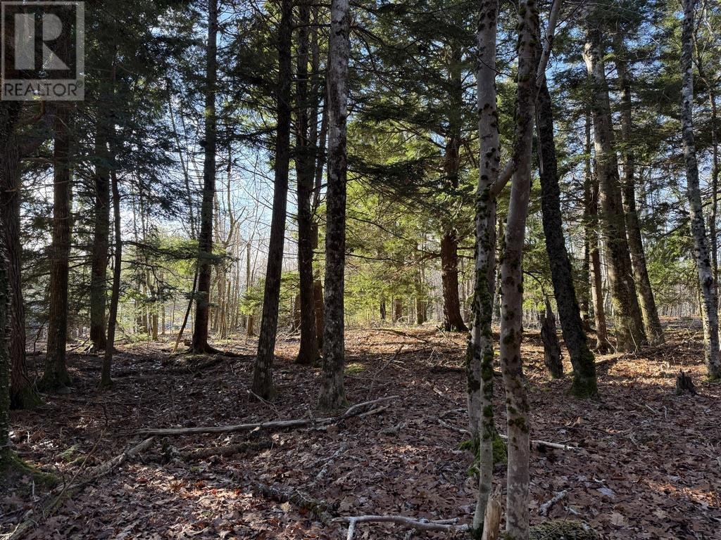 Lot Conquerall Mills Road, Hebbville, Nova Scotia  B4V 6A3 - Photo 5 - 202517257