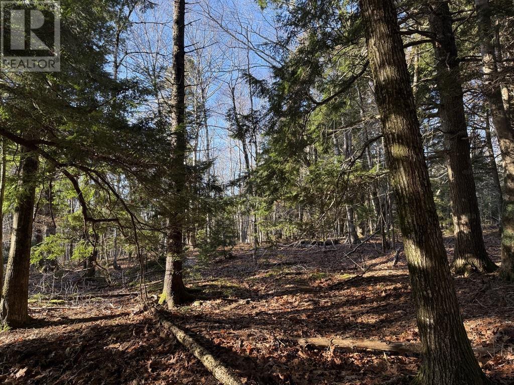 Lot Conquerall Mills Road, Hebbville, Nova Scotia  B4V 6A3 - Photo 7 - 202517257