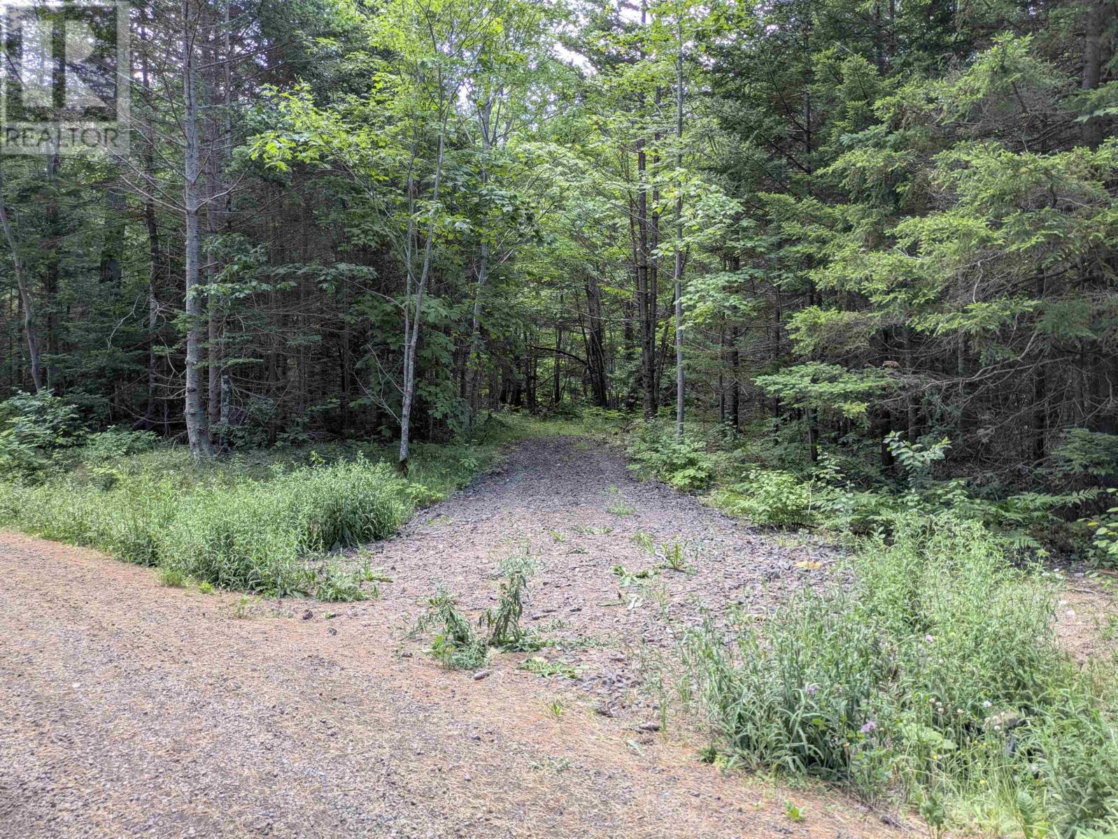 Lot Mill Road, Round Hill, Nova Scotia  B0S 1A0 - Photo 11 - 202517304