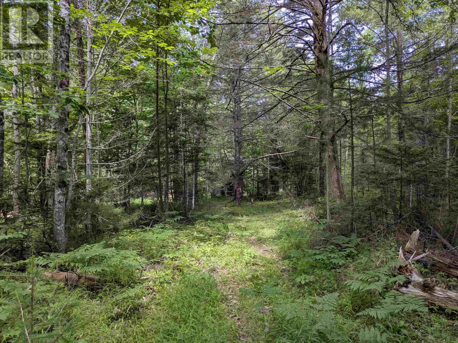 Lot Mill Road, Round Hill, Nova Scotia  B0S 1A0 - Photo 12 - 202517304