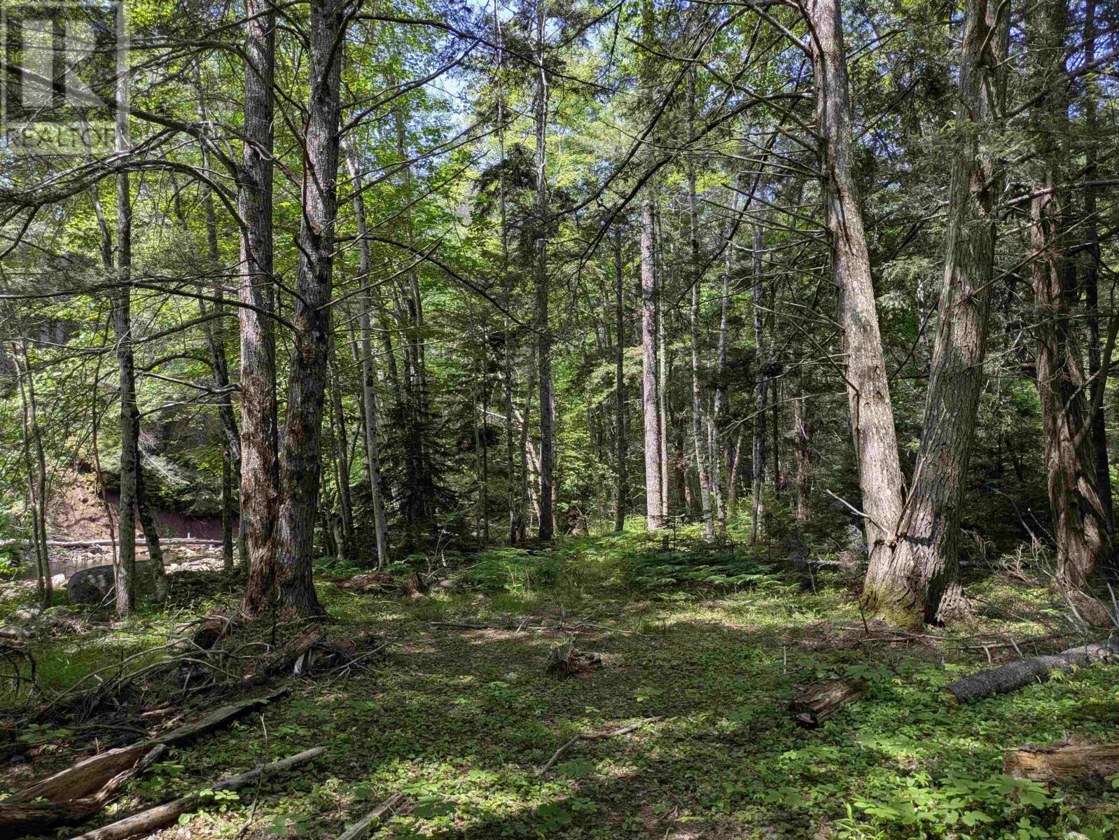 Lot Mill Road, Round Hill, Nova Scotia  B0S 1A0 - Photo 13 - 202517304