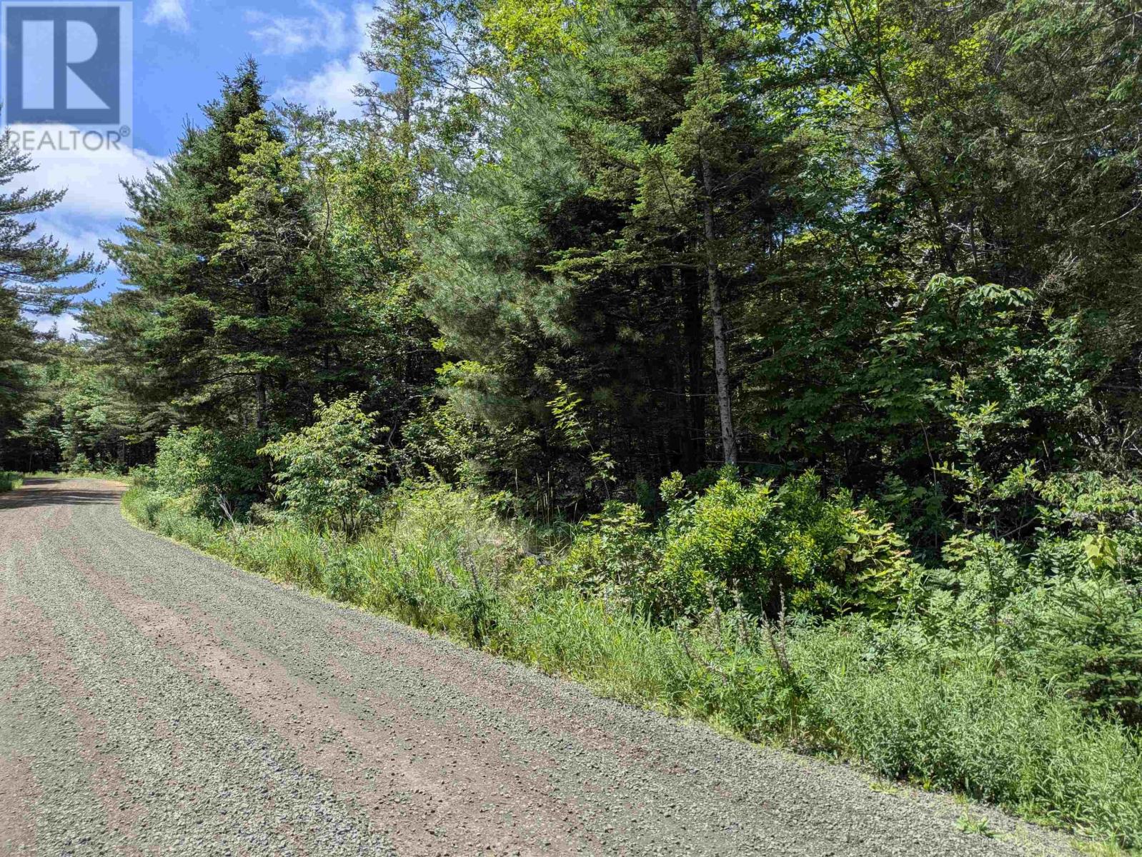 Lot Mill Road, Round Hill, Nova Scotia  B0S 1A0 - Photo 9 - 202517304