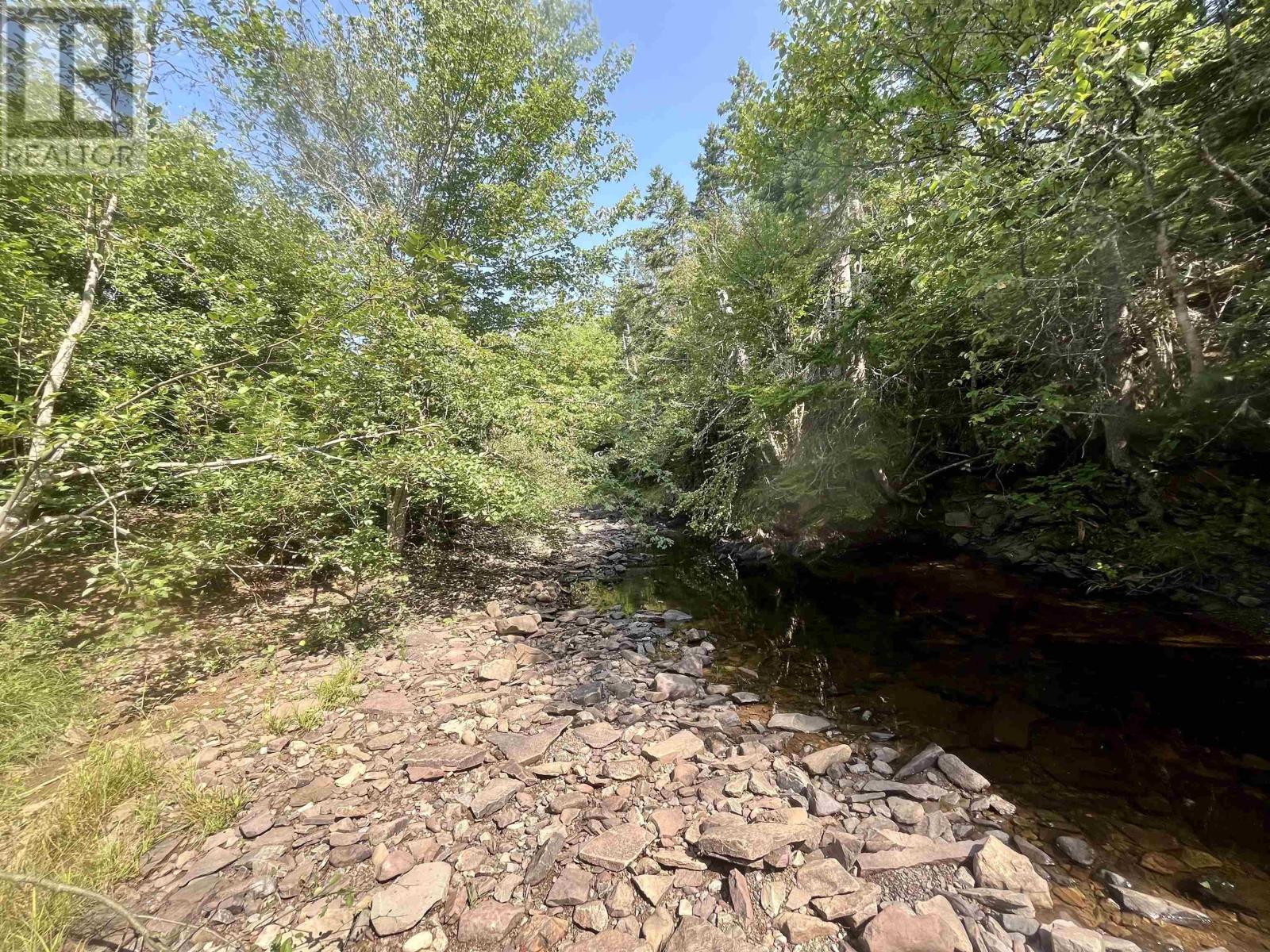 1520 Back Road, River Bourgeois, Nova Scotia  B0E 2X0 - Photo 27 - 202517329