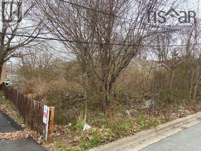 15 Springhill Drive, Dartmouth, Nova Scotia  B3A 4H4 - Photo 5 - 202517358